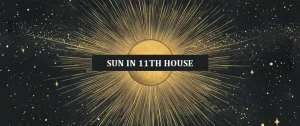 Sun in the 11th House